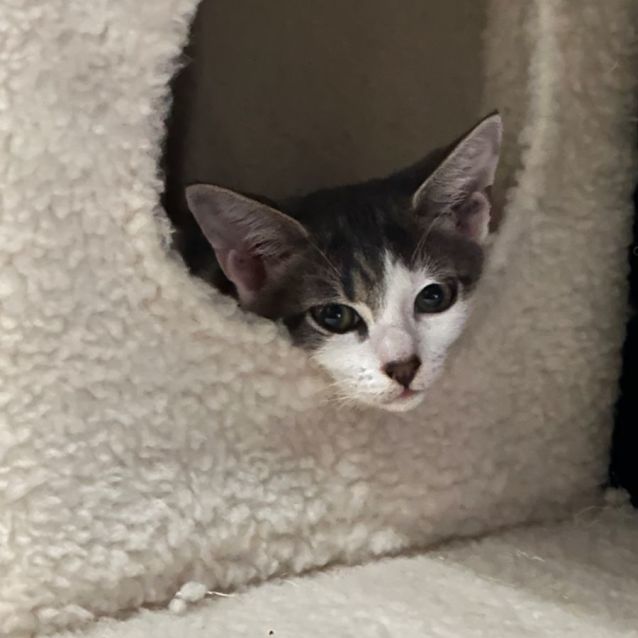 Photo of Holly 😻❤️😻