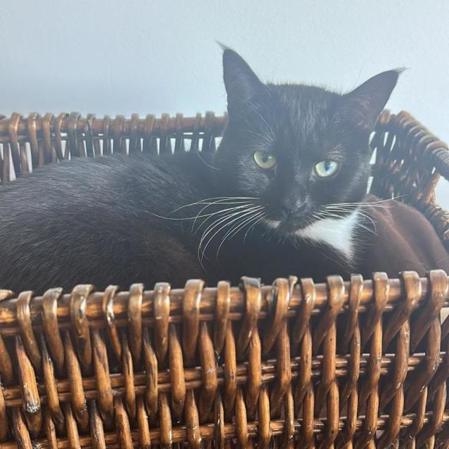 Photo of Mica 🌸🌸🌸