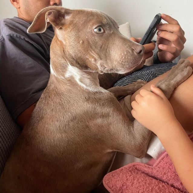 Photo of Milo