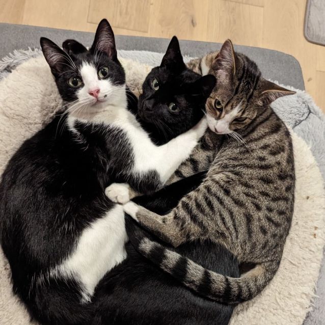 Photo of Lewis And Lily 