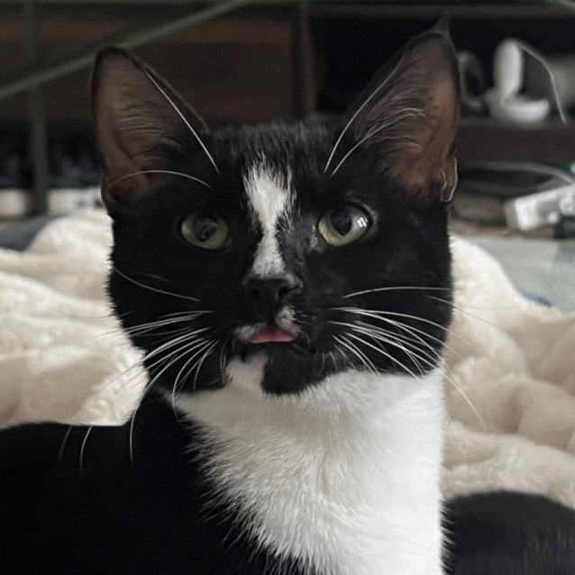 Photo of Max