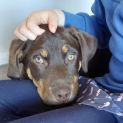 Photo of Beanie