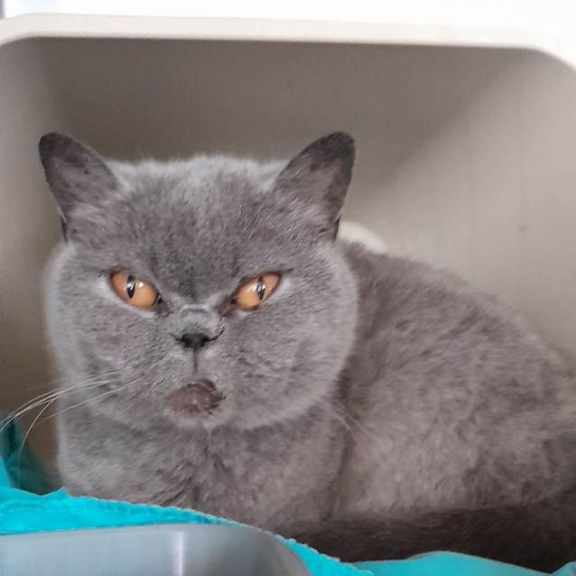 Photo of Feeby