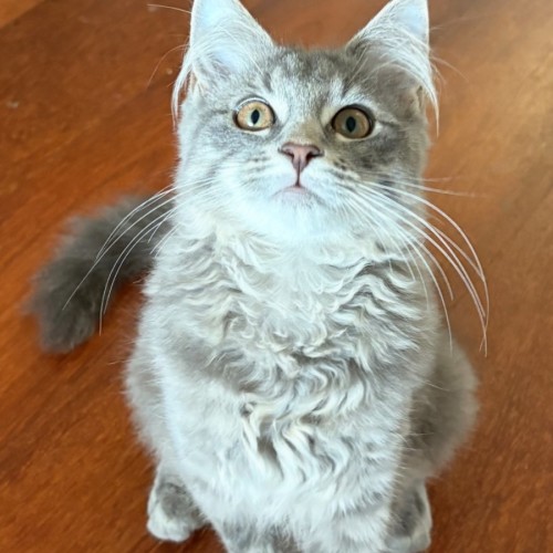 Londyn 😻💕💕😻