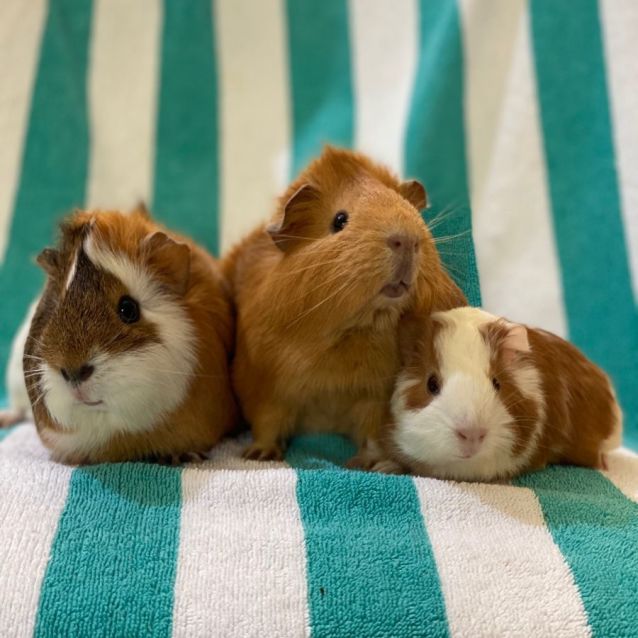 Photo of Kath, Kim And Sharon