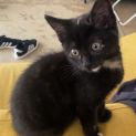 Photo of Sooty