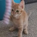Photo of Wallie