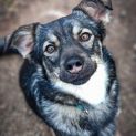 Photo of Cash
