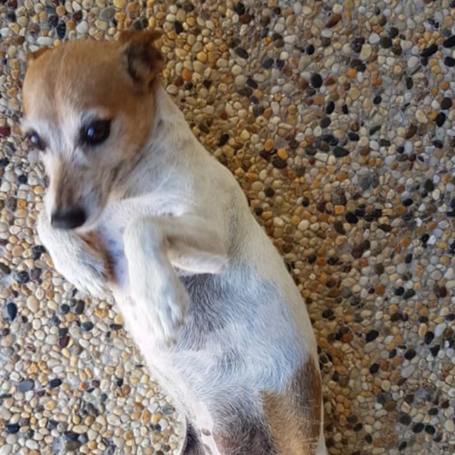 Photo of Millee And Mishka