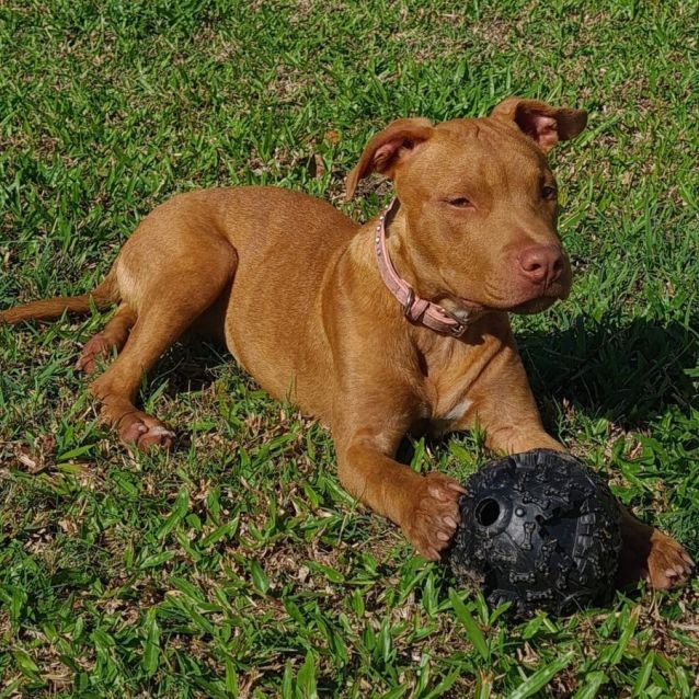 Photo of Lara