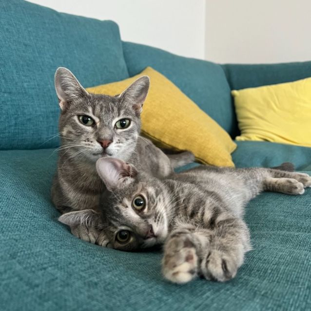 Photo of Fern And Heather