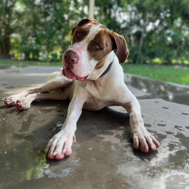 Photo of Spud
