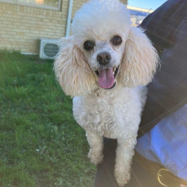 Photo of Daisy