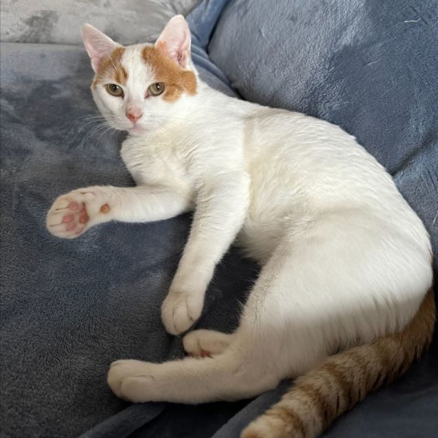 Photo of Major Tom