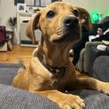 Photo of Noble