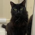 Photo of Duchess