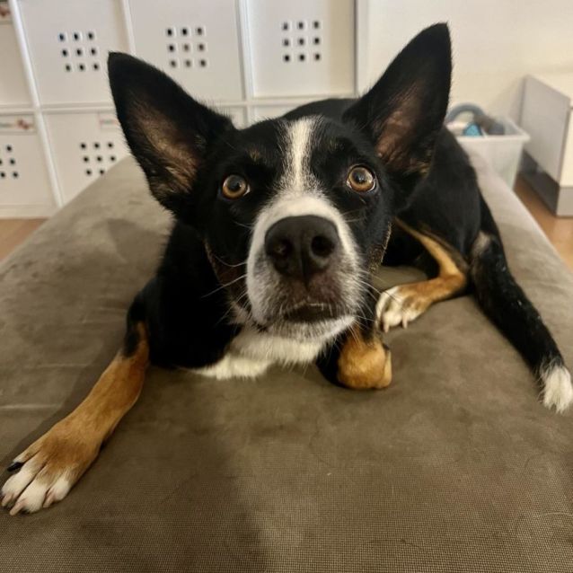 Photo of Maggie