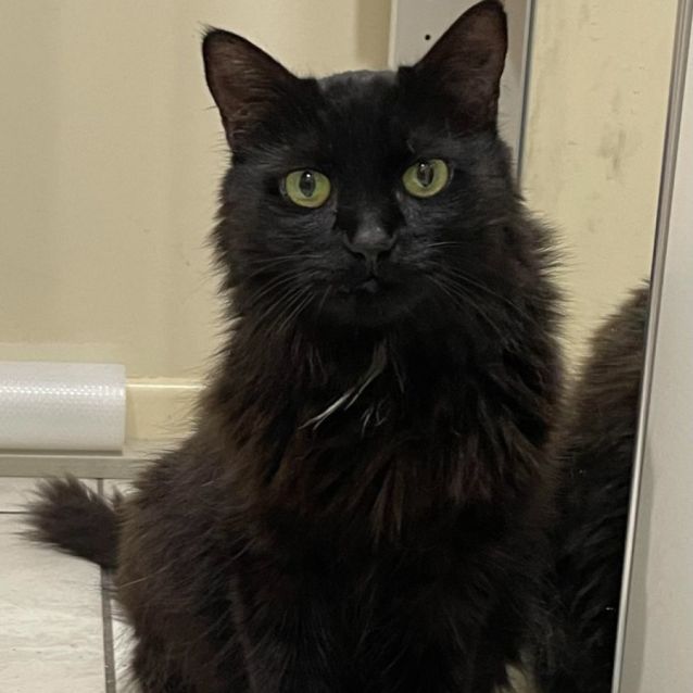 Photo of Duchess