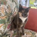Photo of Freya