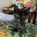 Photo of Cupid
