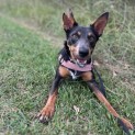 Photo of Darla