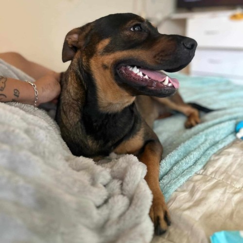 Zoe