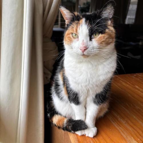 No photo for Miss Molly