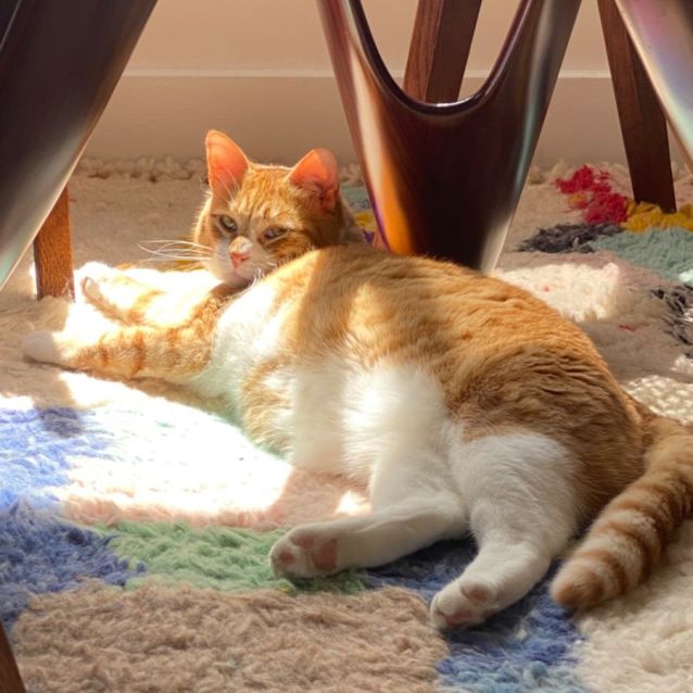 Photo of Ginny
