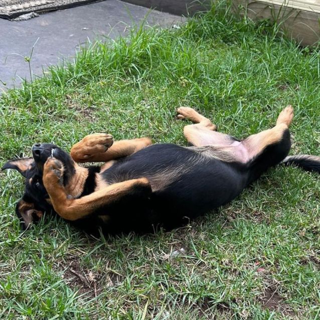 Photo of Dior Has A Meet And Greet Today.