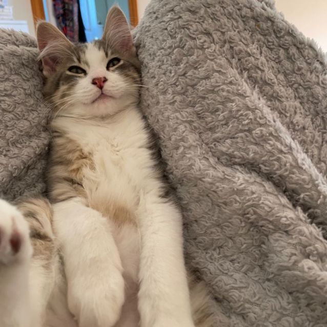 Photo of Timmy