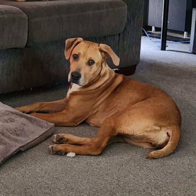 Photo of Ruby