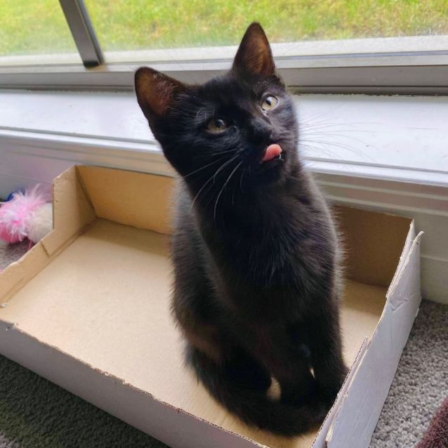 Photo of Sleepy Jagger 😴 