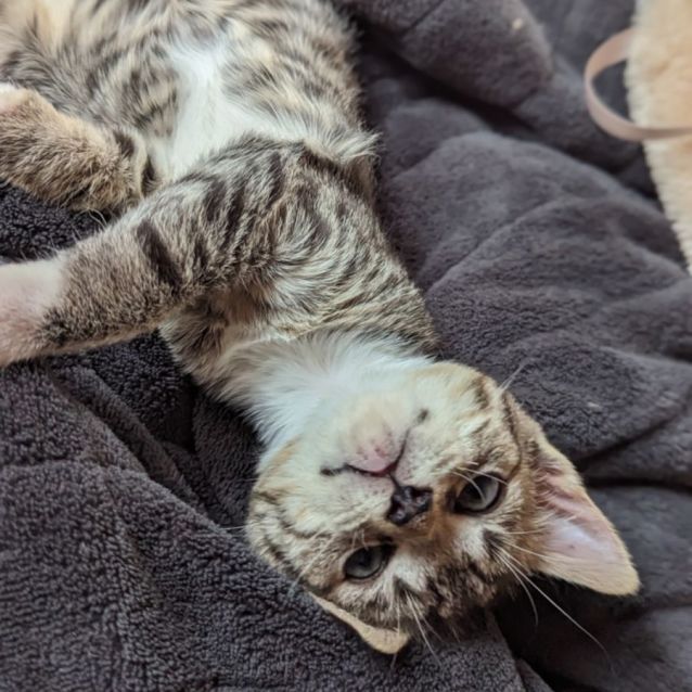 Photo of Jimmy James Hunt 