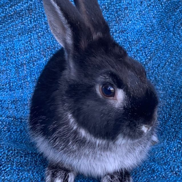 Photo of Riley 