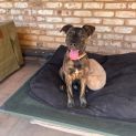 Photo of Delilah