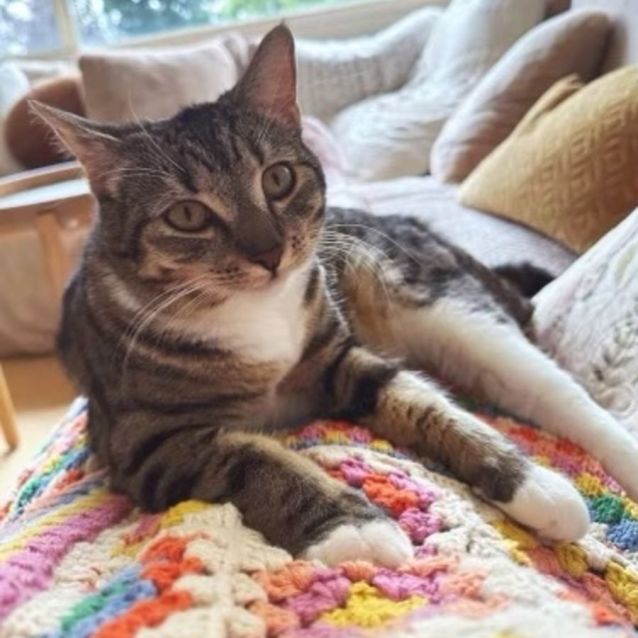 Photo of Willow 