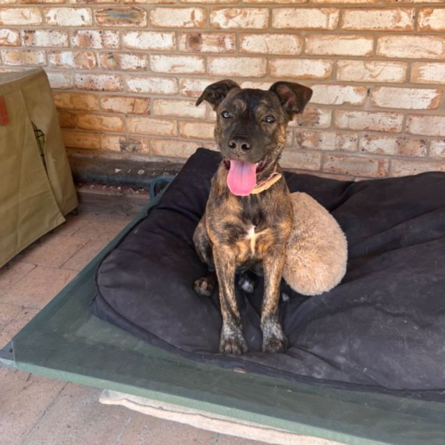 Photo of Delilah