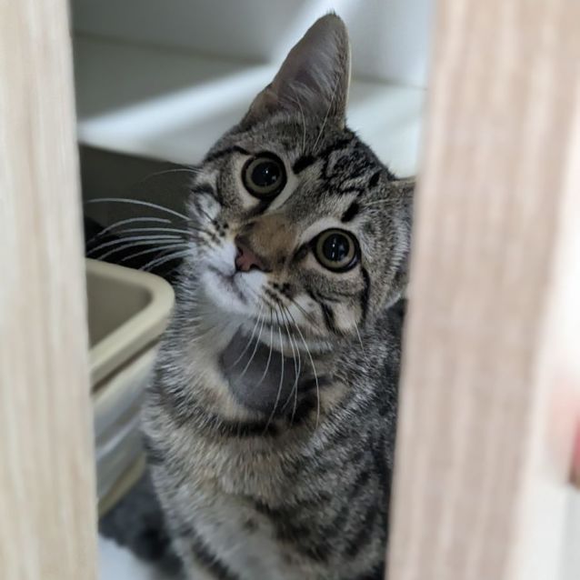 Photo of 🎊 Scout F02765 🎊