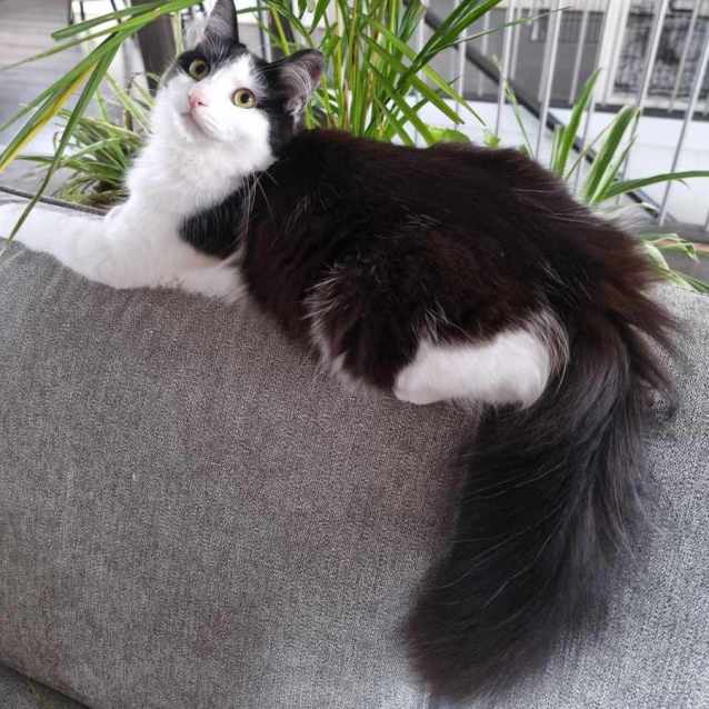 Photo of Fox & Paddy💙