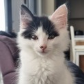 Photo of Andy