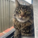 Photo of Jaiyana (Located In Cranbourne East)