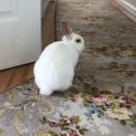 Photo of Brian