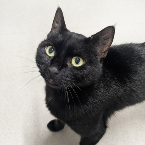 No photo for 🧋 Taro 6773 🧋