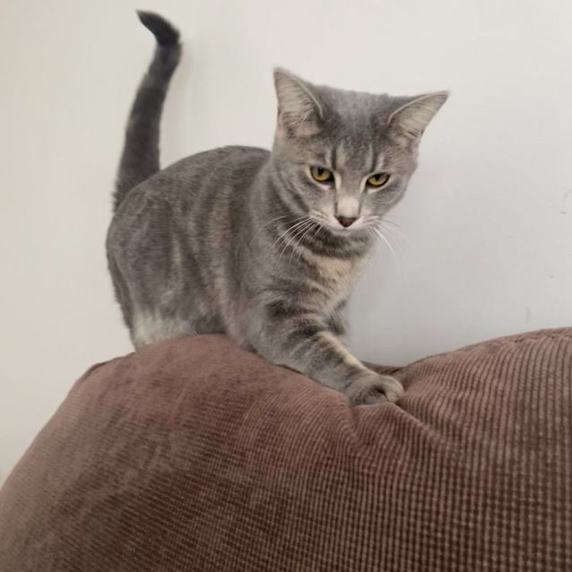 Photo of Junior & Blossom 💙🌸