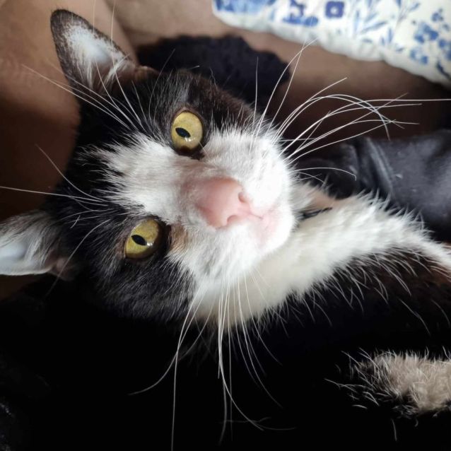 Photo of Lily