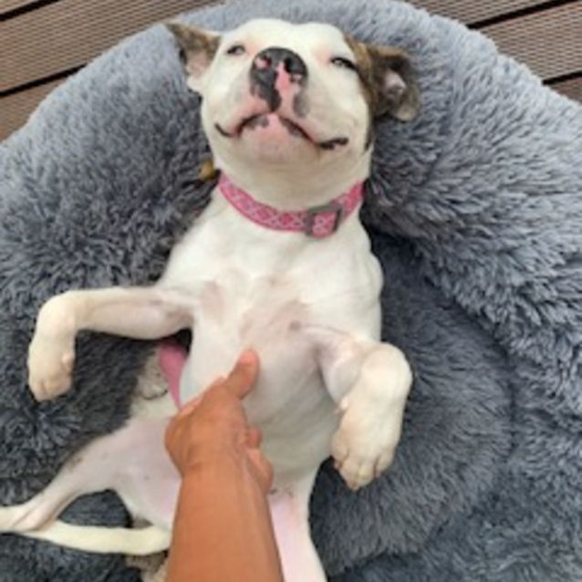 Photo of Essie