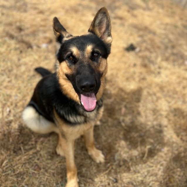 Photo of Zeus