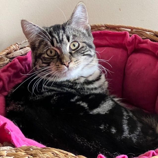 Photo of Chase   Can Deliver To You