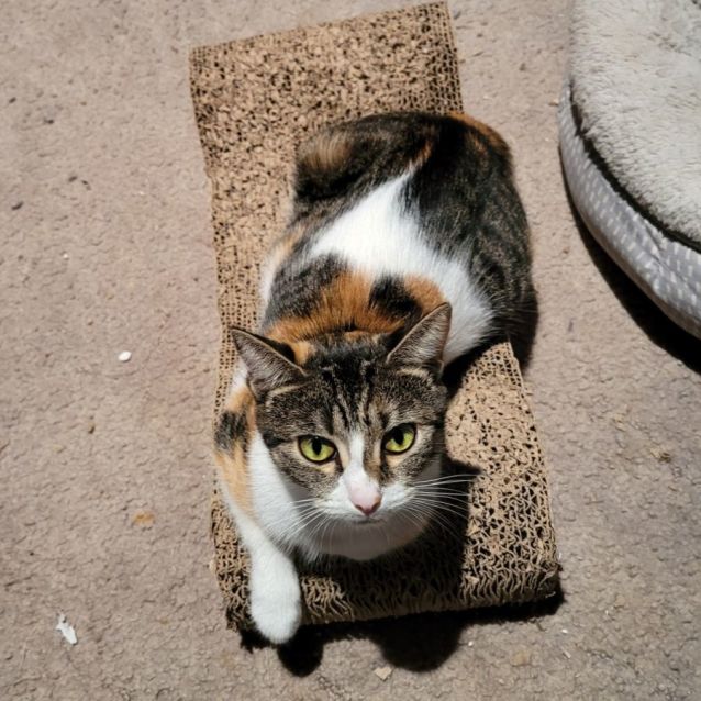 Photo of Princess