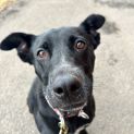 Photo of Tootsie